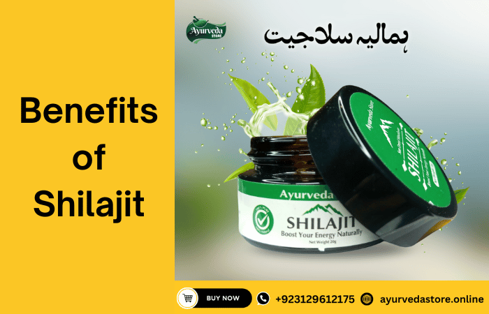 Benefits of Shilajit